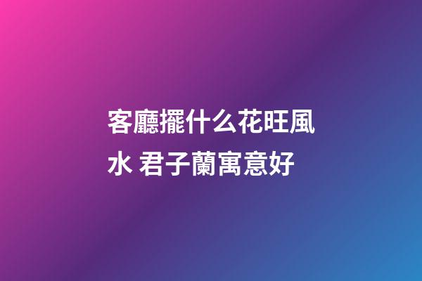 客廳擺什么花旺風水 君子蘭寓意好